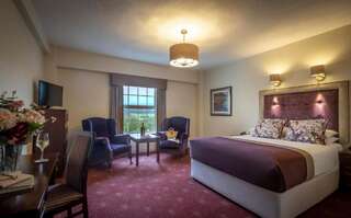 Отель Falls Hotel & Spa Эннистимон Двухместный номер с 1 кроватью и собственной ванной комнатой-6
